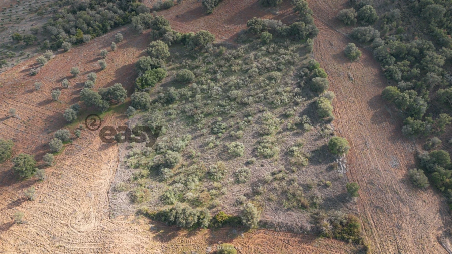 Terreno para Venda em Vila de Frades Foto 3