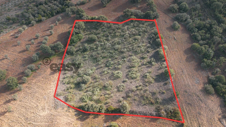 Terreno para Venda em Vila de Frades Foto 2