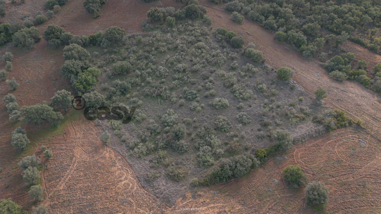 Terreno para Venda em Vila de Frades Foto 4