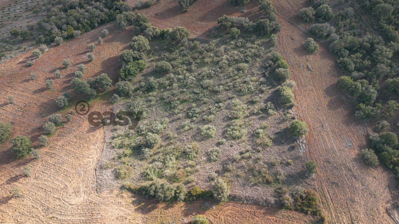 Terreno para Venda em Vila de Frades Foto 3