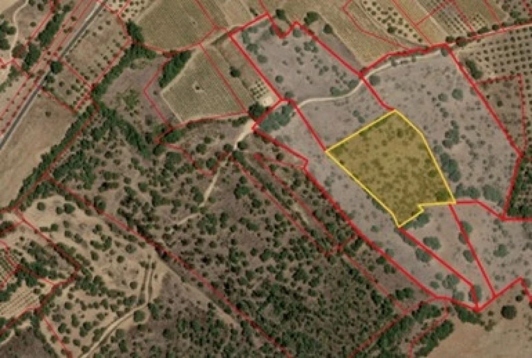 Terreno para Venda em Vila de Frades Foto 5