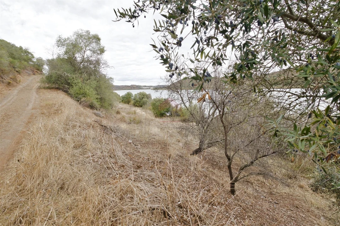 Terreno Agricola ou Rústico para Venda em Odeleite Foto 7