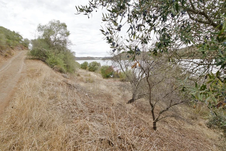 Terreno Agricola ou Rústico para Venda em Odeleite Foto 7