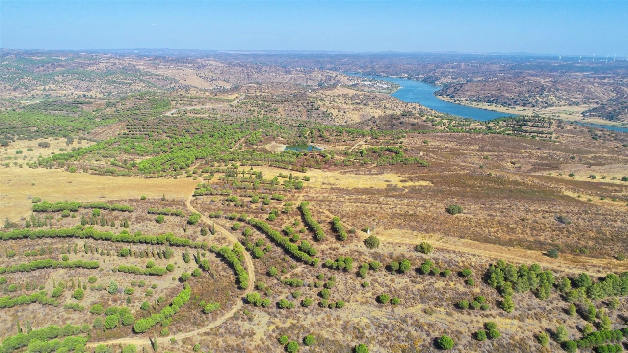 Terreno Agricola ou Rústico para Venda em Odeleite Foto 5