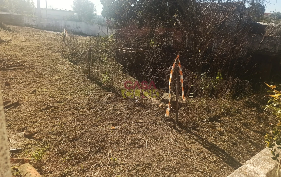 Moradia T3 para Venda em Torres Novas (São Pedro), Lapas e Ribeira Branca Foto 4