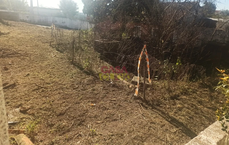 Moradia T3 para Venda em Torres Novas (São Pedro), Lapas e Ribeira Branca Foto 4