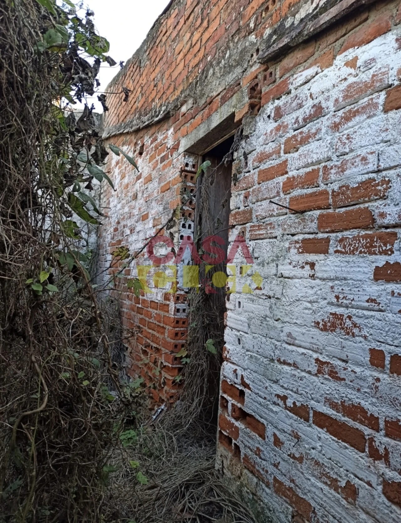 Moradia T3 para Venda em Torres Novas (São Pedro), Lapas e Ribeira Branca Foto 13