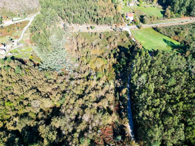 Terreno Agricola ou Rústico para Venda em Sande e São Lourenço Foto 5