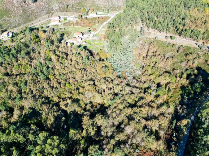 Terreno Agricola ou Rústico para Venda em Sande e São Lourenço Foto 6