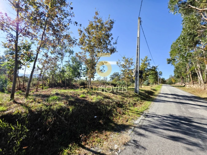 Terreno Agricola ou Rústico para Venda em Sande e São Lourenço Foto 12