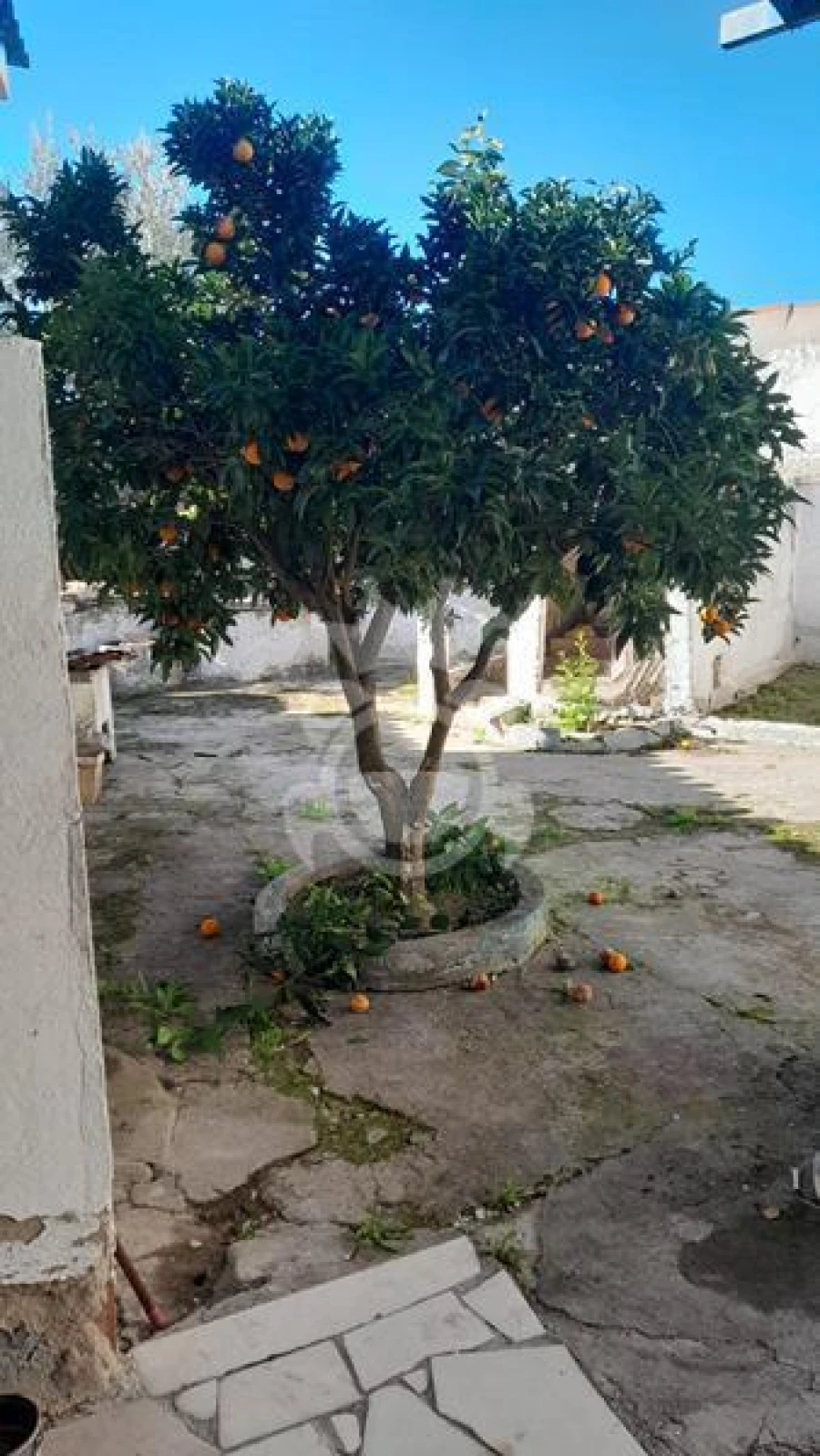 Moradia T3 para Venda em Corval Foto 19