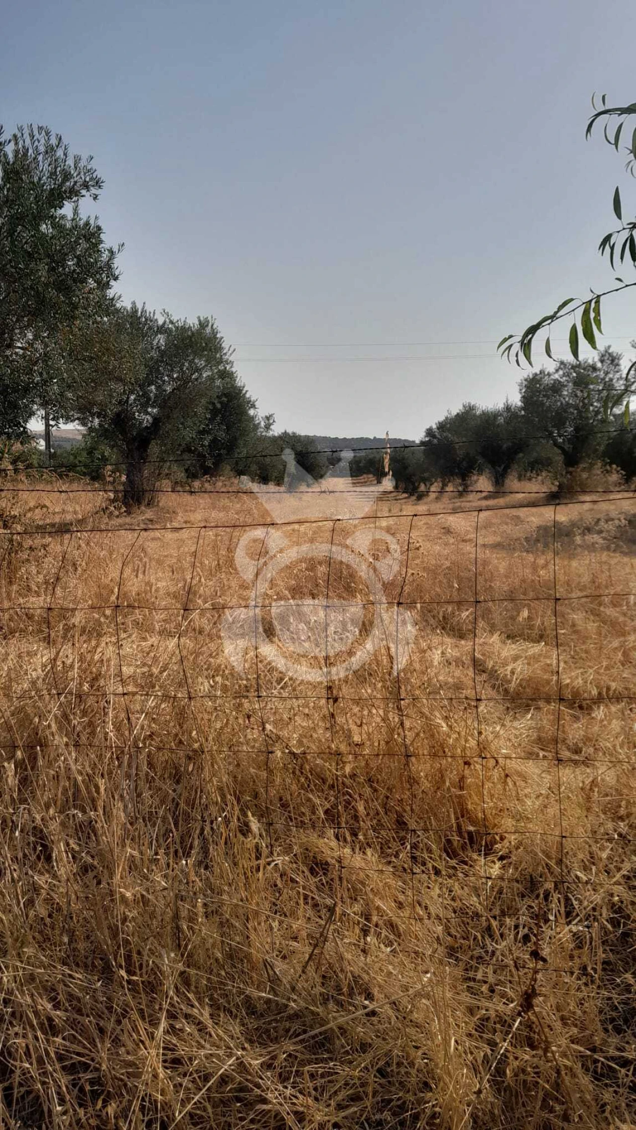 Terreno para Venda em Corval Foto 10