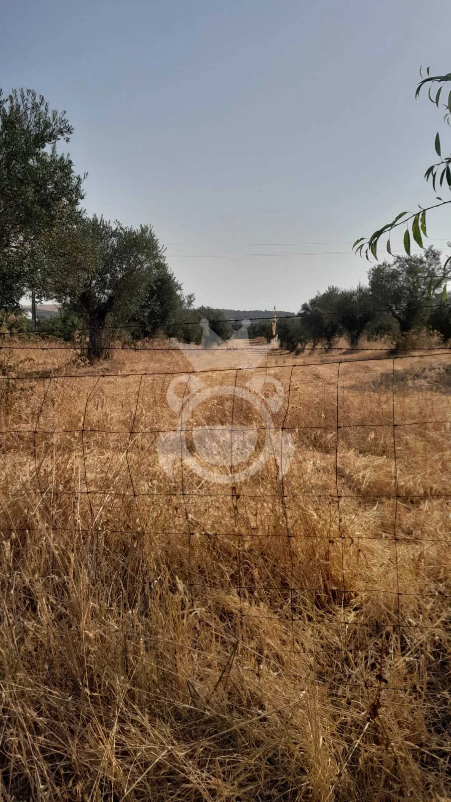 Terreno para Venda em Corval Foto 10