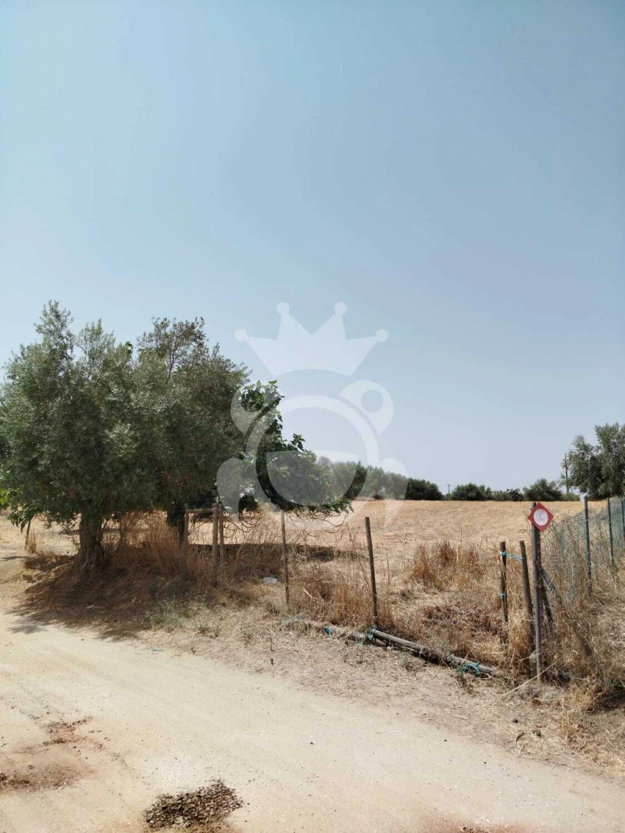 Terreno para Venda em Corval Foto 4