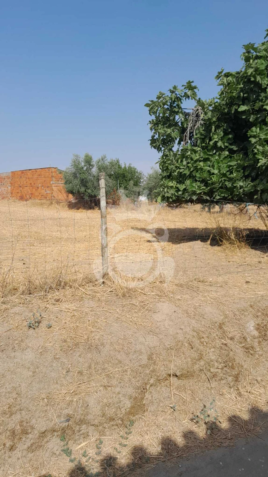 Terreno para Venda em Corval Foto 6