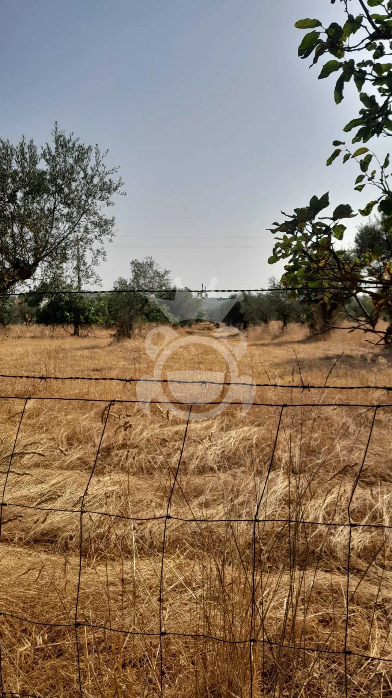 Terreno para Venda em Corval Foto 7