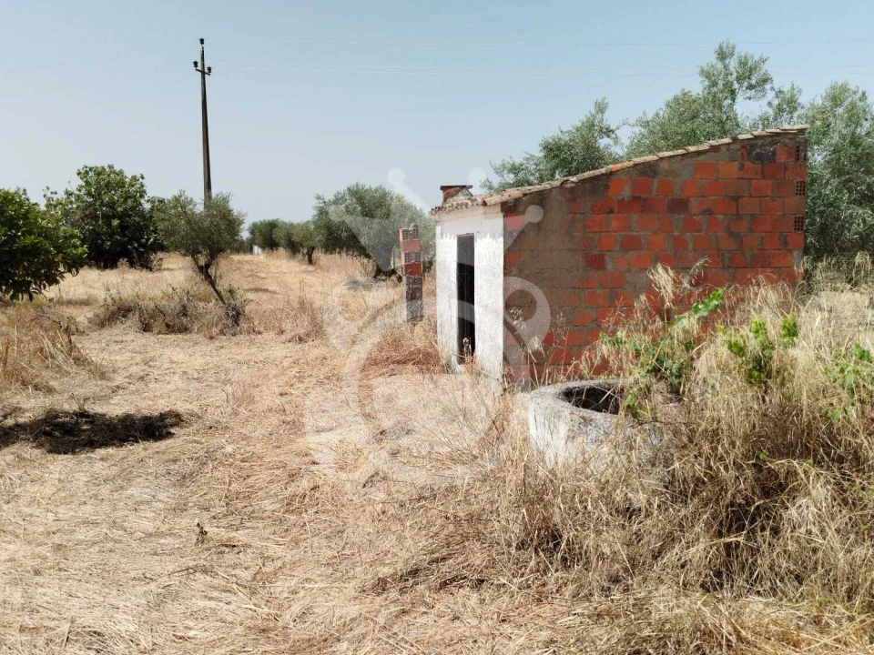 Terreno para Venda em Corval Foto 2
