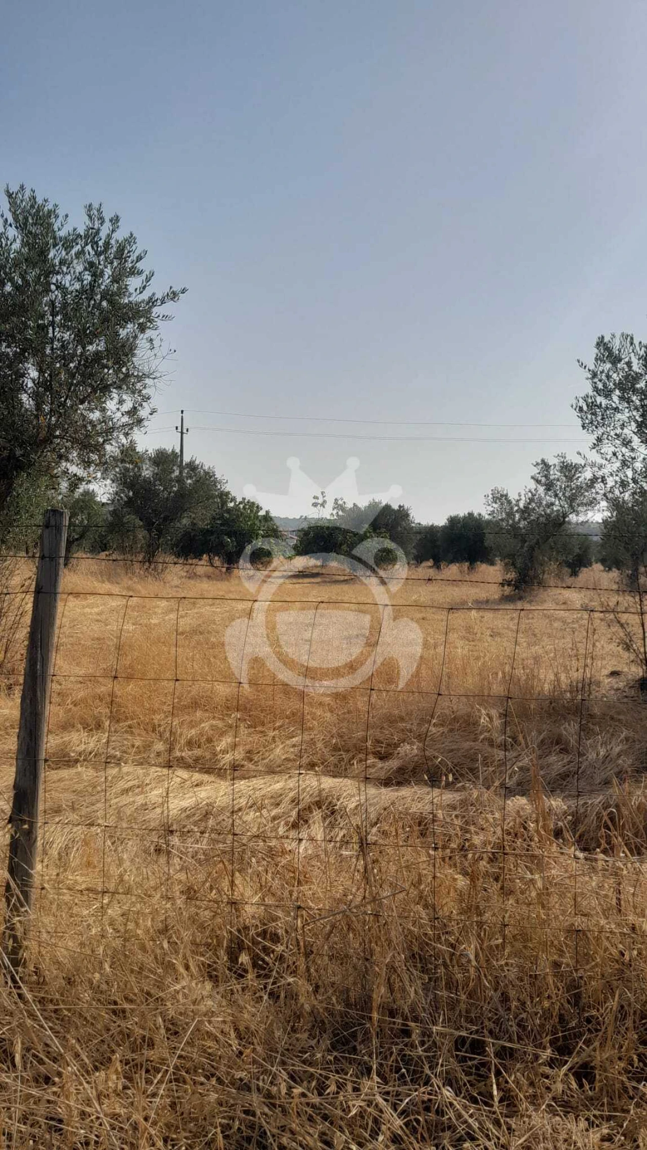 Terreno para Venda em Corval Foto 8