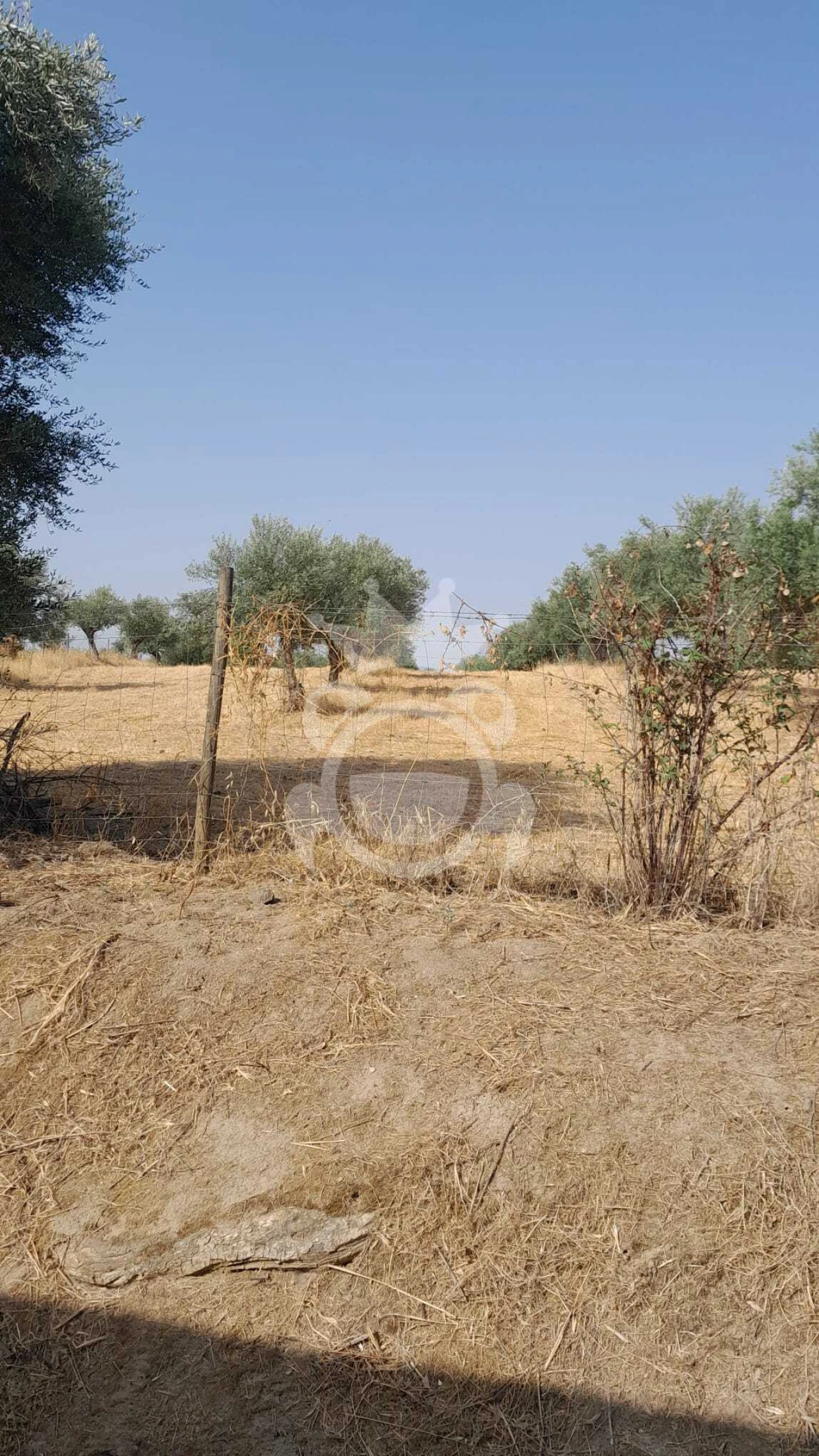 Terreno para Venda em Corval Foto 9