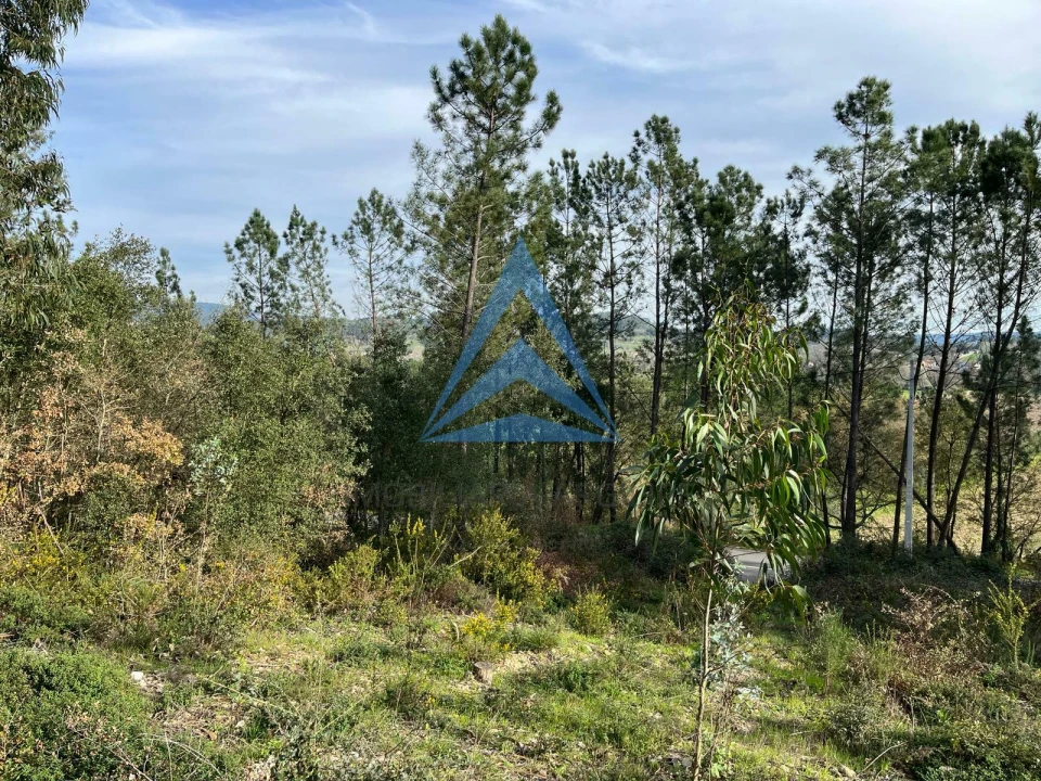 Terreno para Venda em Pombal Foto 14