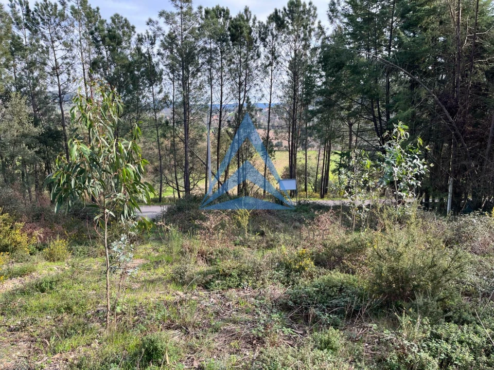 Terreno para Venda em Pombal Foto 5