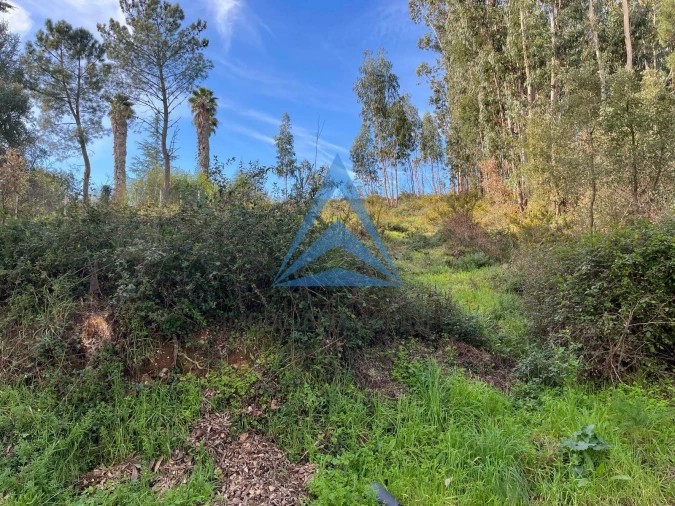 Terreno para Venda em Pombal Foto 4