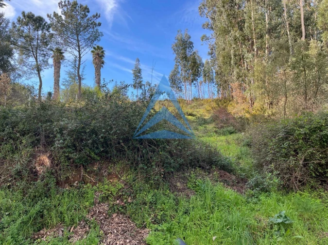 Terreno para Venda em Pombal Foto 7