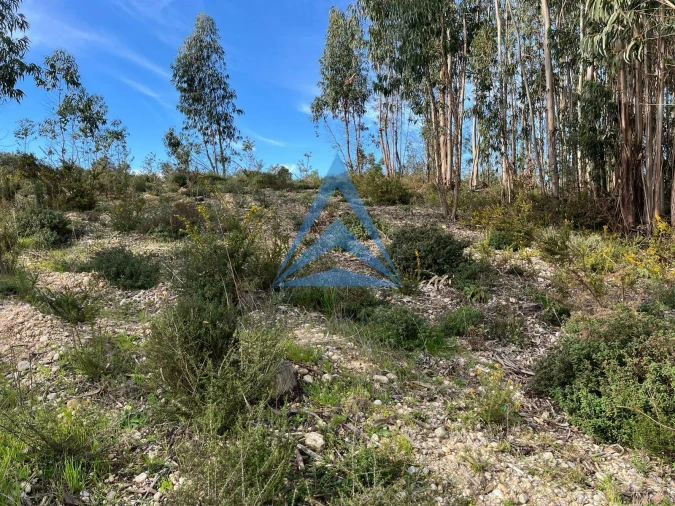 Terreno para Venda em Pombal Foto 3