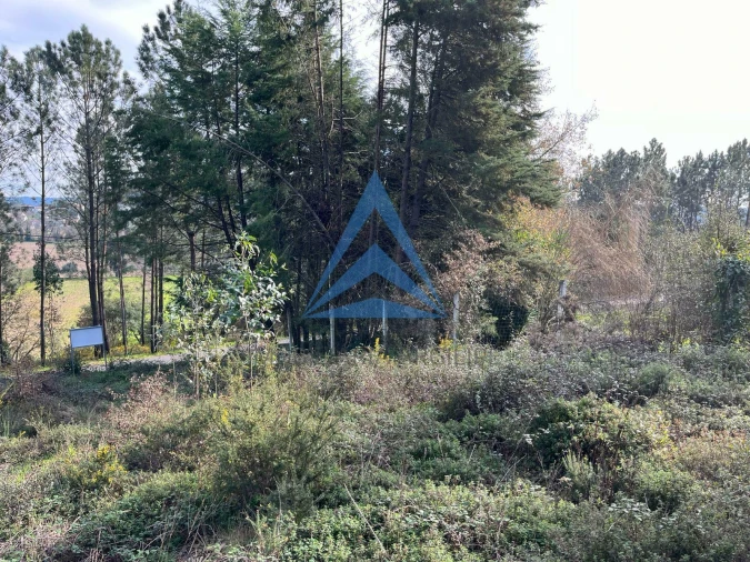 Terreno para Venda em Pombal Foto 13