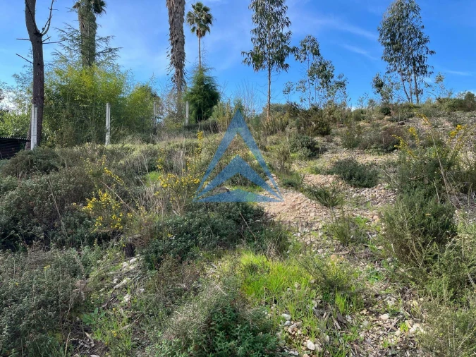 Terreno para Venda em Pombal Foto 6