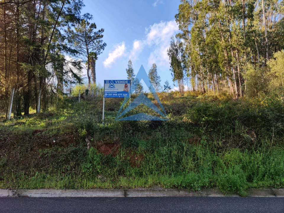 Terreno para Venda em Pombal Foto 8