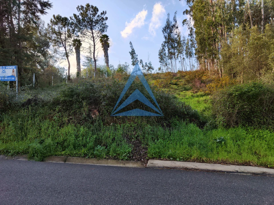 Terreno para Venda em Pombal Foto 19
