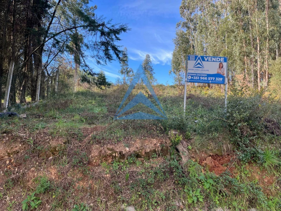 Terreno para Venda em Pombal Foto 12