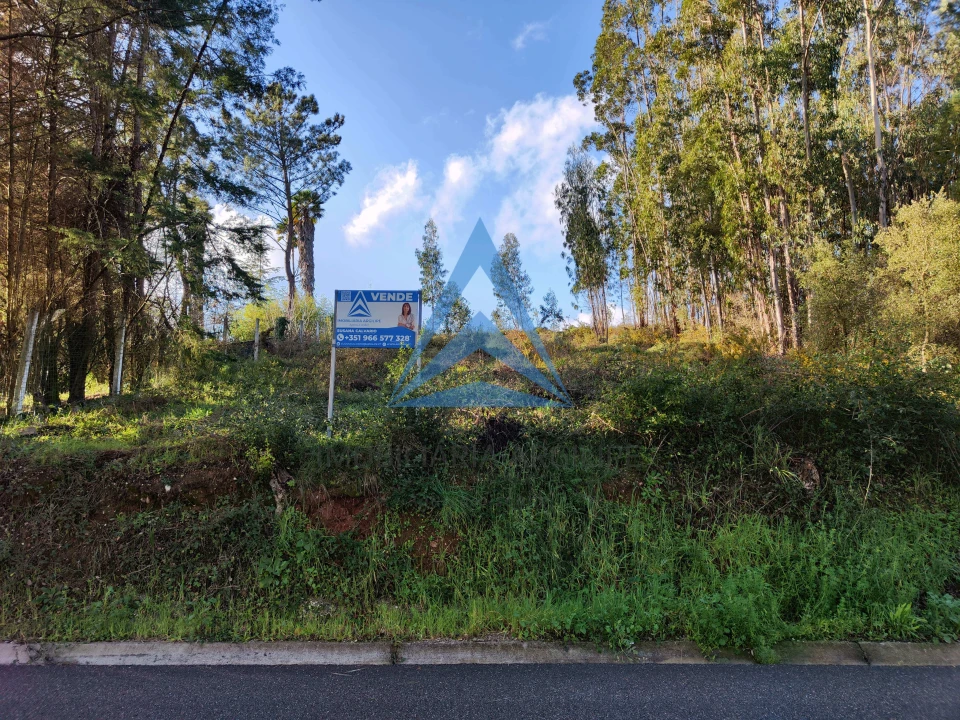 Terreno para Venda em Pombal Foto 18