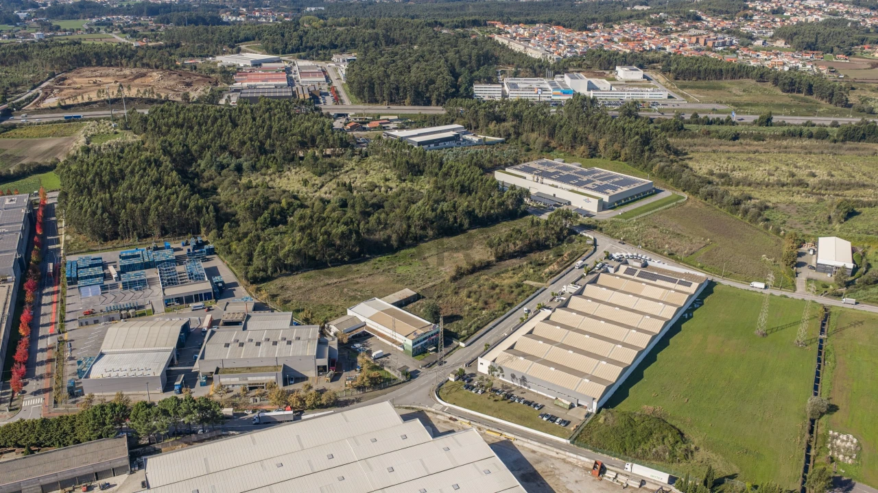 Terreno para Venda em Folgosa Foto 10