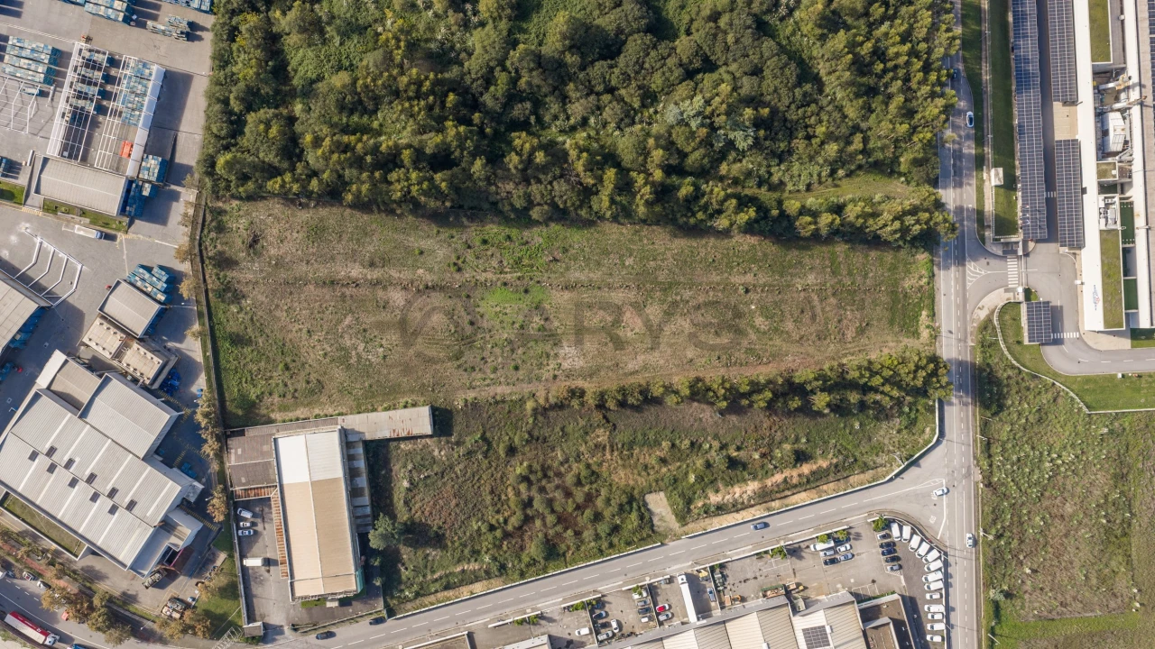 Terreno para Venda em Folgosa Foto 5