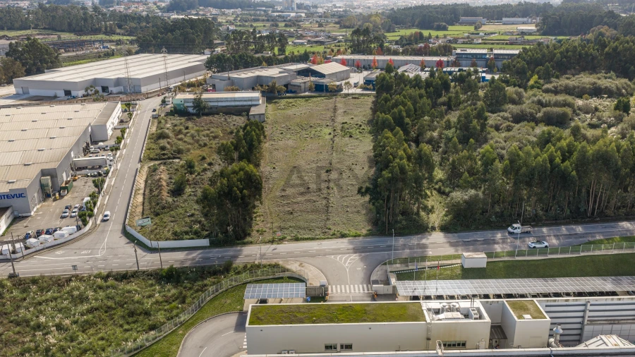 Terreno para Venda em Folgosa Foto 7