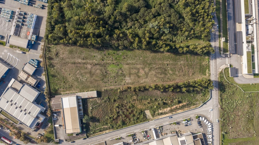 Terreno para Venda em Folgosa Foto 5