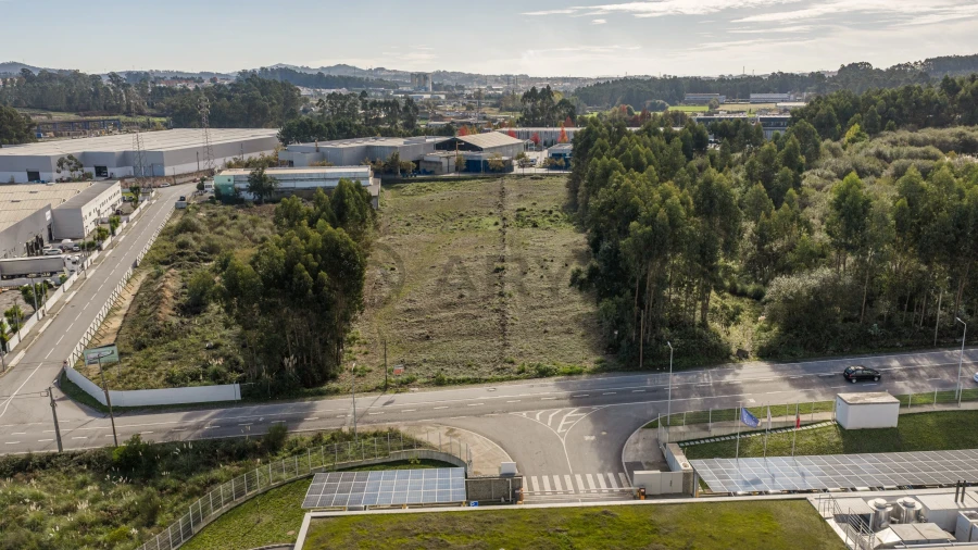 Terreno para Venda em Folgosa Foto 3