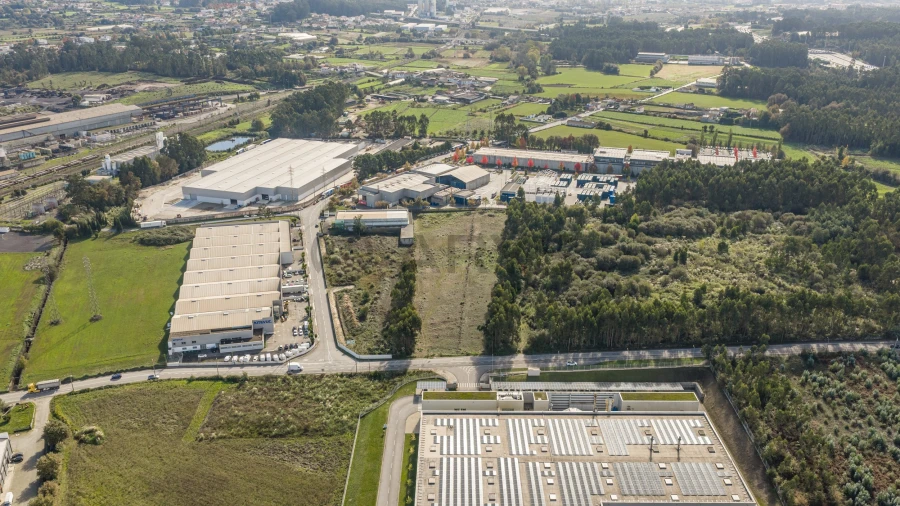 Terreno para Venda em Folgosa Foto 6