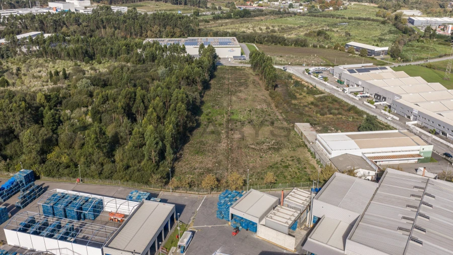 Terreno para Venda em Folgosa Foto 4