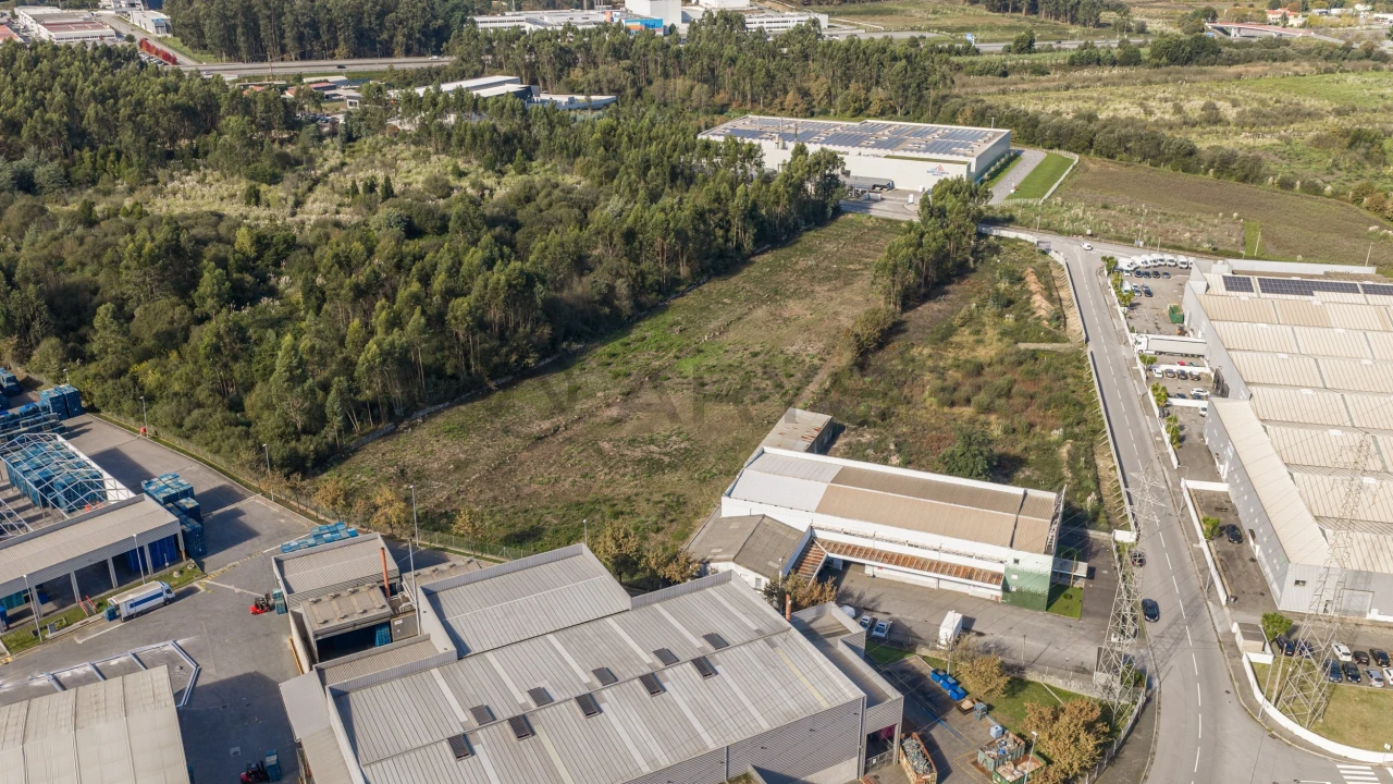 Terreno para Venda em Folgosa Foto 9