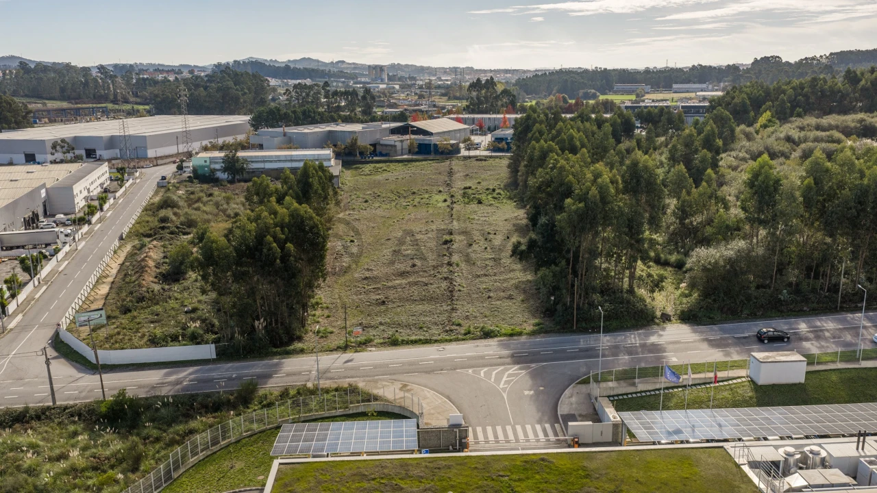 Terreno para Venda em Folgosa Foto 3