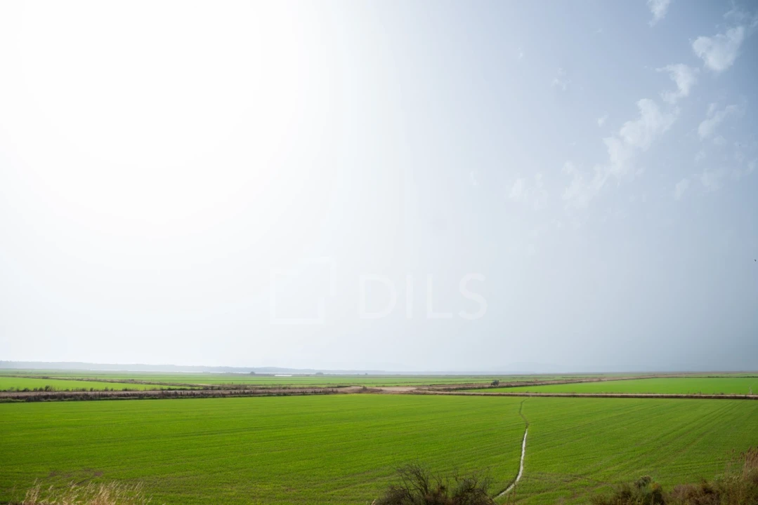 Moradia T2 para Venda em Comporta Foto 27