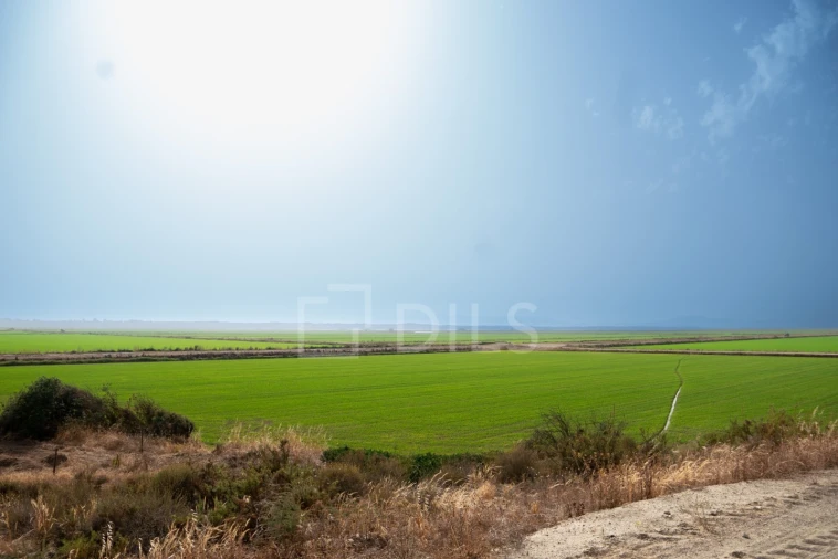 Moradia T2 para Venda em Comporta Foto 24