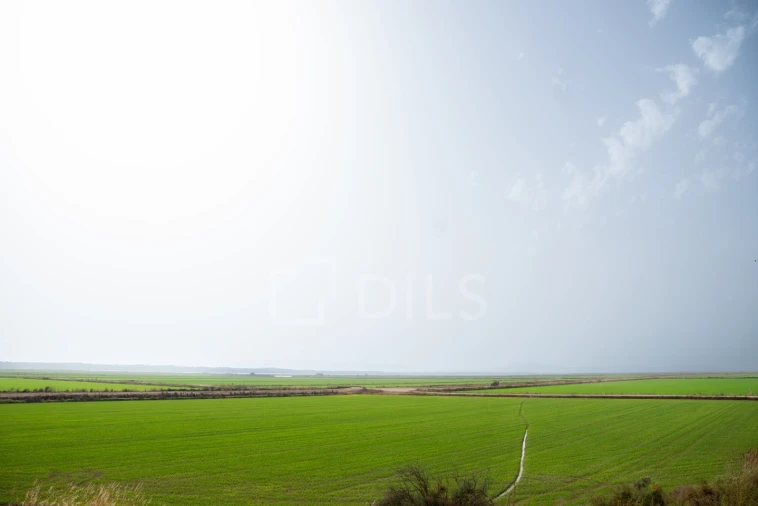 Moradia T2 para Venda em Comporta Foto 27