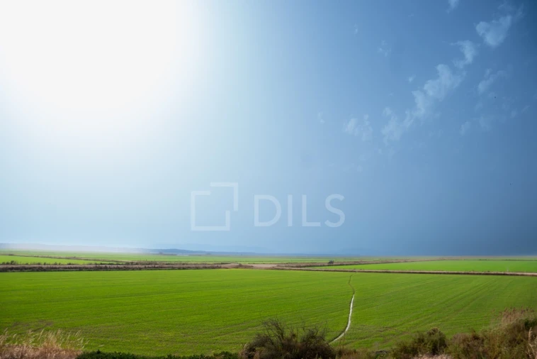 Moradia T2 para Venda em Comporta Foto 28