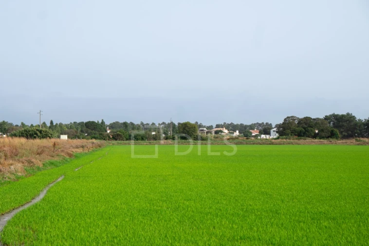 Moradia T2 para Venda em Comporta Foto 30