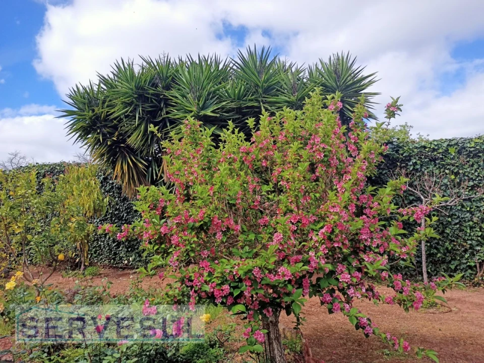 Moradia T4 para Venda em Silves Foto 20