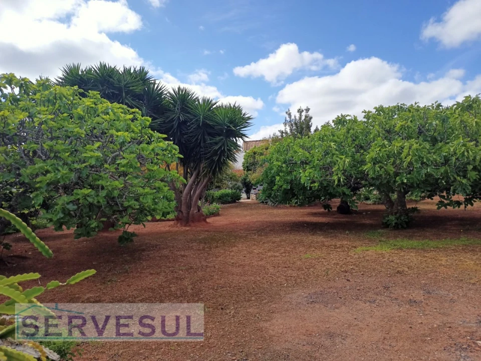 Moradia T4 para Venda em Silves Foto 3